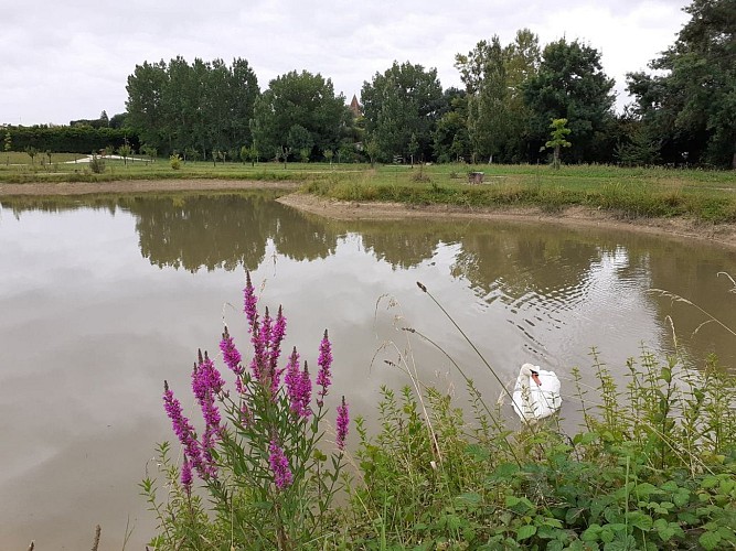Plan d'eau floral de Fourcès