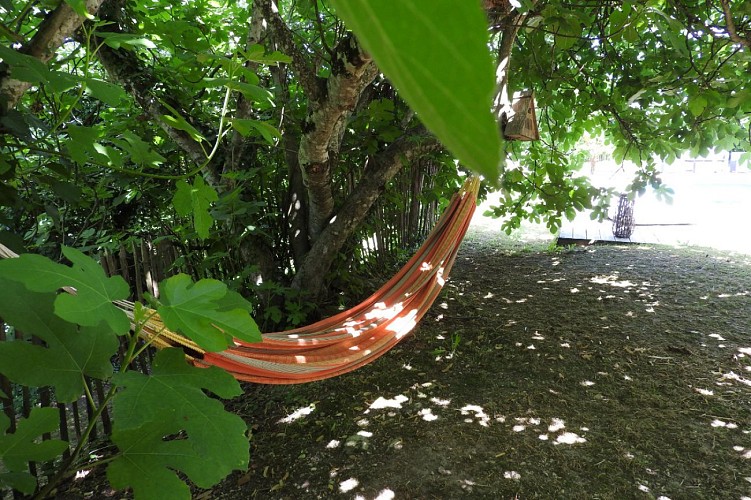Gite Le Chemin des Figuiers 5