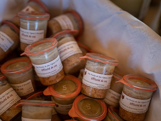 Des poules et des vignes