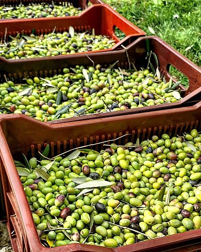 Baussy Olive Oil Mill