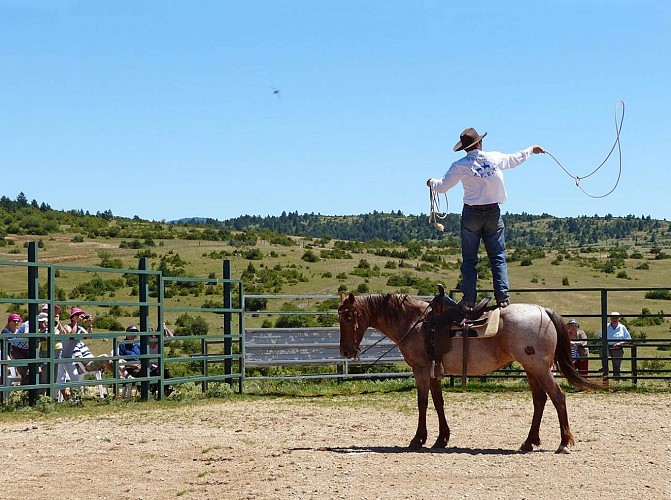 Authentic Cowboys in Randals bison