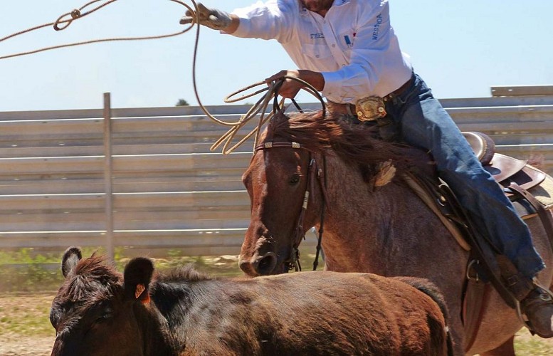 Authentic Cowboys à Randals bison