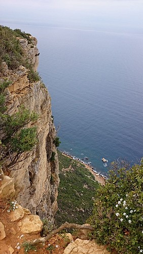 Cap Canaille