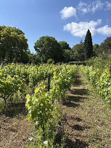 La Bastide Marin