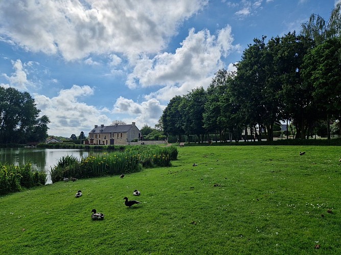 Etang de Fontenay le Pesnel