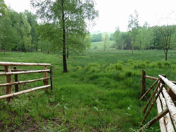 Naturschutzgebiet Breichen