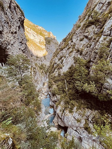 image du object
