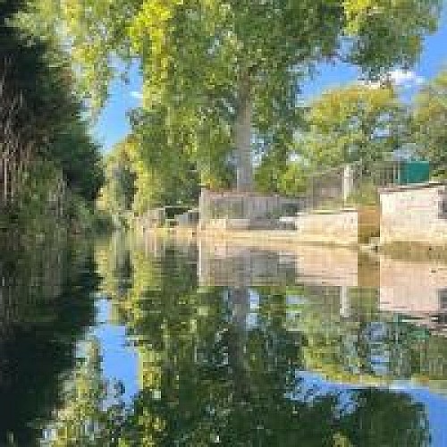 L'Armançon au bout du parc
