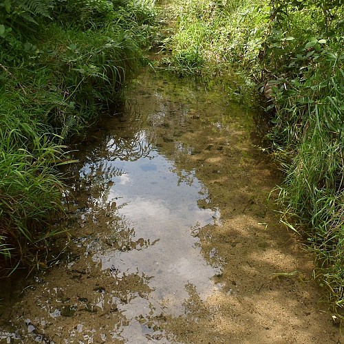 image du object