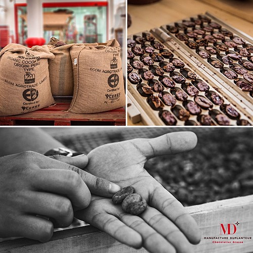 Maison Duplanteur Chocolate Factory