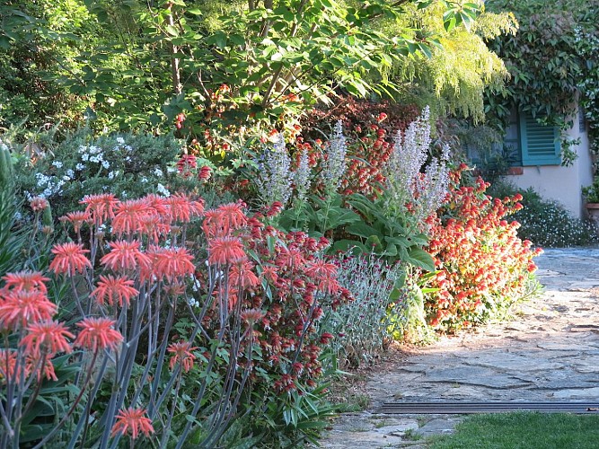 Der Garten der Villa Fort France