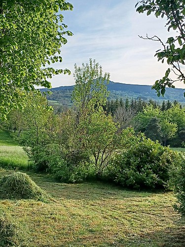 Chez Paul