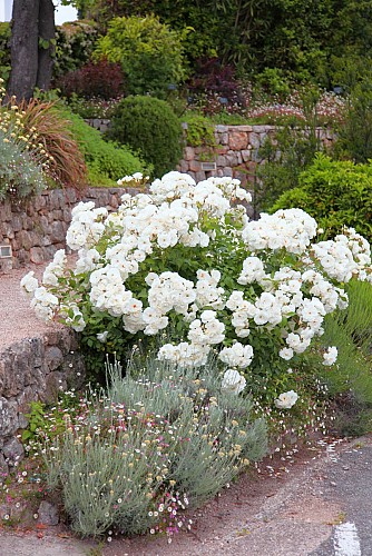 Jardin Parfumé - Parfumerie Fragonard