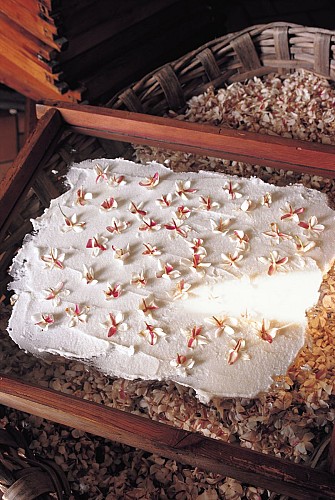 Jardin Parfumé - Profumeria Fragonard