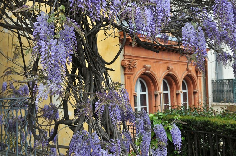 MIP's Orange garden