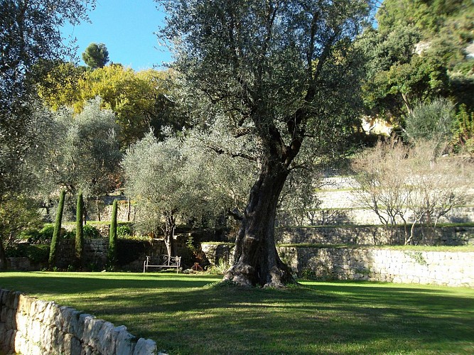 Domaine de la Mouissone