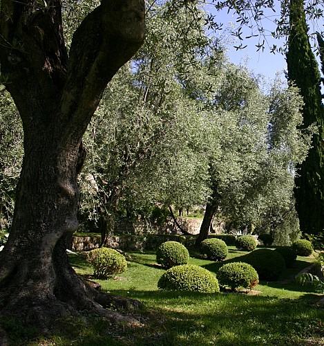 Domaine de la Mouissone