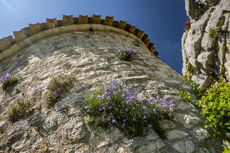 Chapelle Saint-Martin