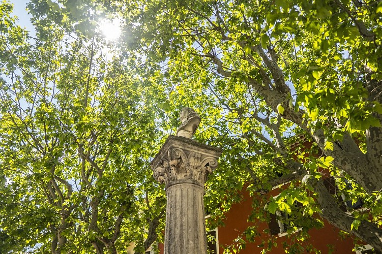 Colonne Napoléon