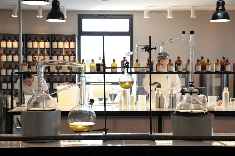 Parfumerie Fragonard - Usine des fleurs