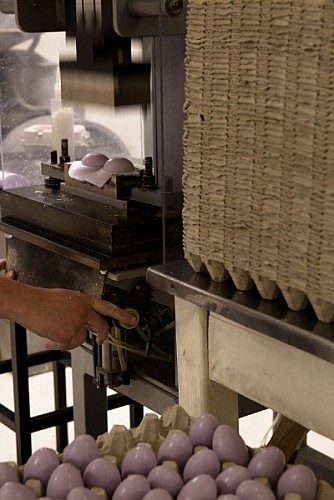 Fragonard Perfumery - Historic perfume factory