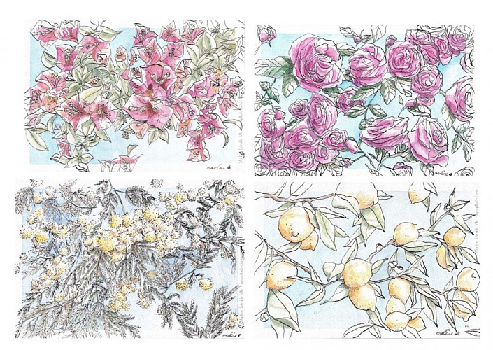 Marlene DESIGN & Youpi Illustration