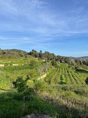 Domaine "La Clef des Roses"