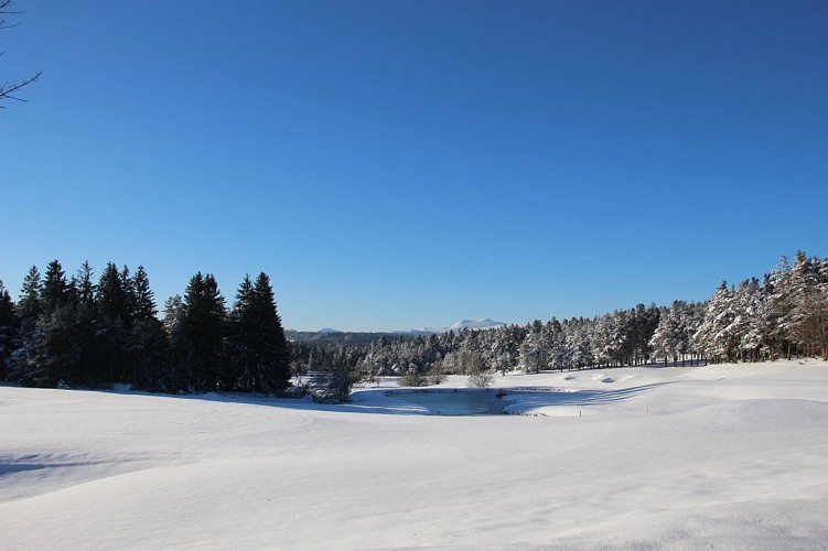 Golf  du Chambon-Sur-Lignon