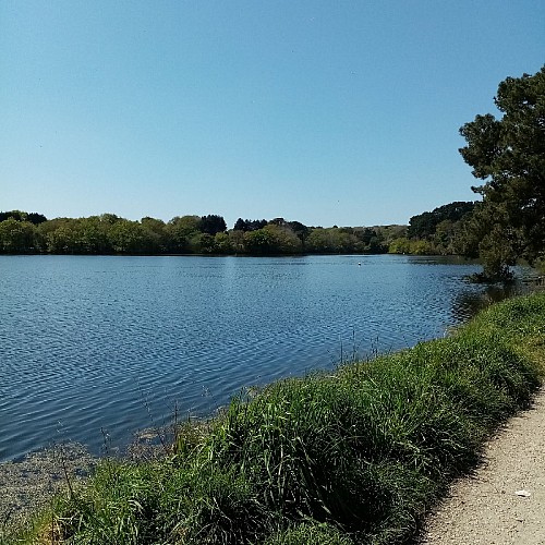 Etang du Ter