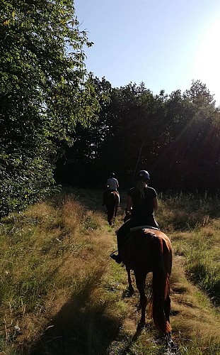 Chevauchée en pleine nature (+12 ans)_6