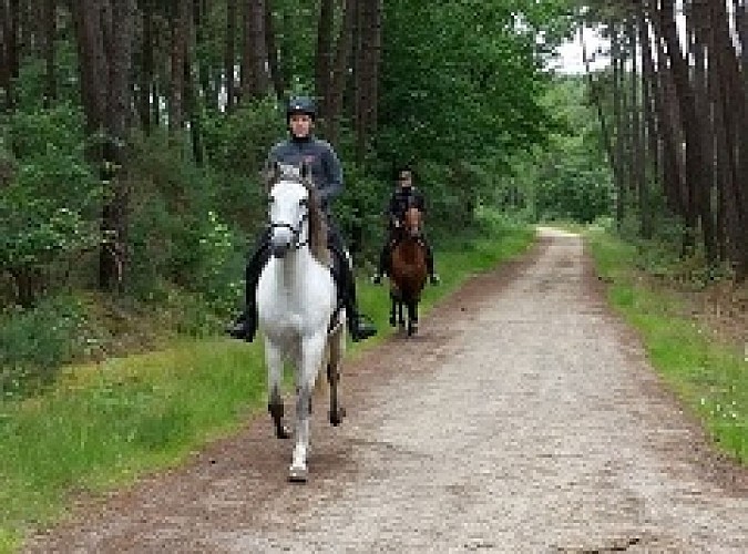 Séance à cheval adaptée à votre demande (+12 ans)_2