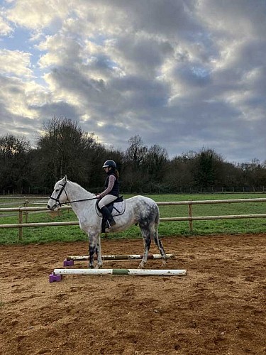 Séance à cheval adaptée à votre demande (+12 ans)_4