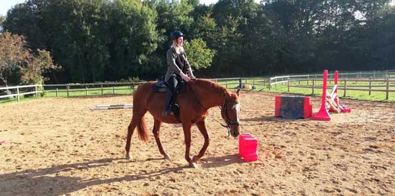 Séance à cheval adaptée à votre demande (+12 ans)_5