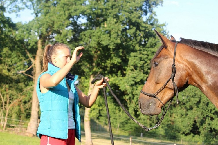Séance à pied : améliorer la compréhension Homme/Cheval (+12ans)_1