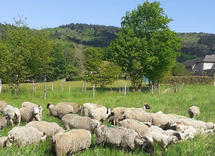 6808bb68df83f360898222