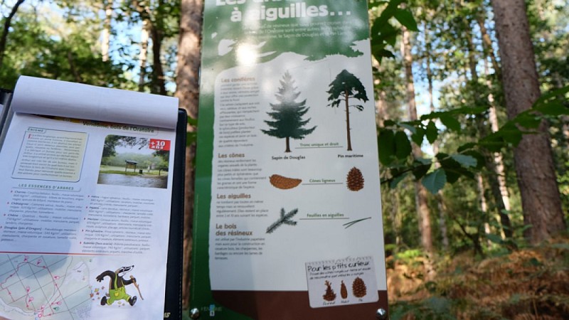 Circuit-Randoland-Bois-de-l'Oratoire-Vendome