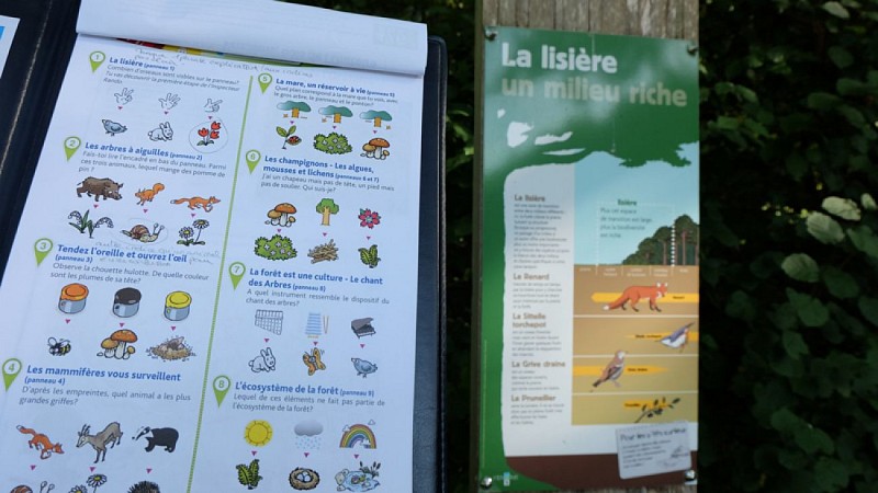 Circuit-Randoland-Bois-de-l'Oratoire-Vendome