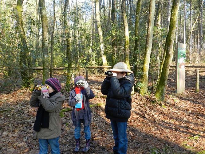 Circuit-Randoland-Bois-de-l'Oratoire-Vendome