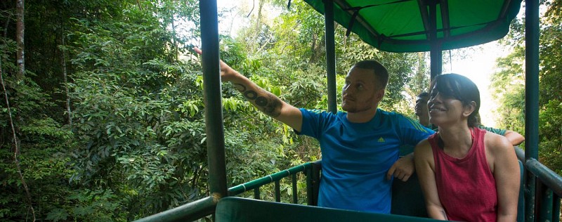 Traversée de la canopée en téléphérique et balade en forêt - Sur la côte Pacifique