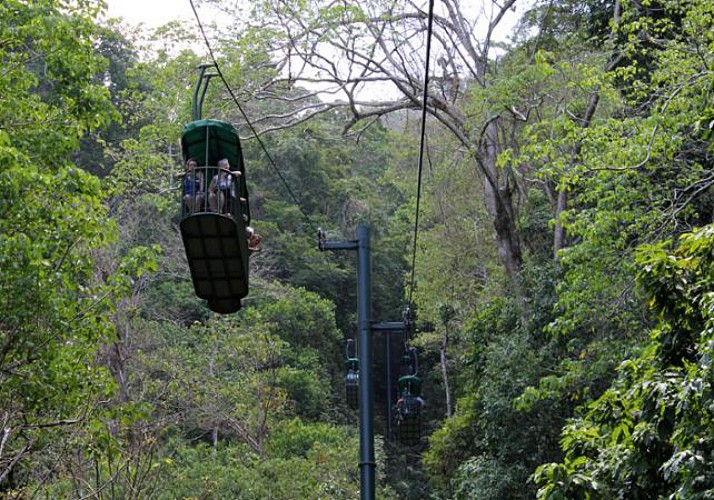 Traversée de la canopée en téléphérique et balade en forêt - Sur la côte Pacifique