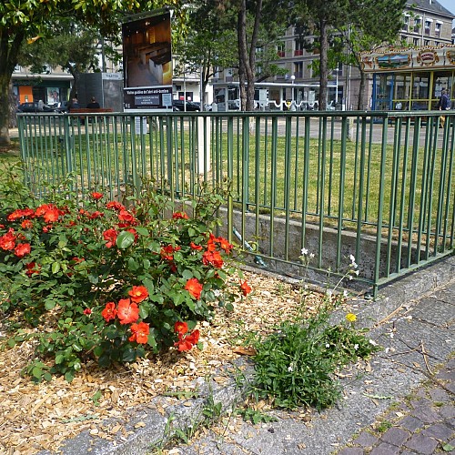 image du object