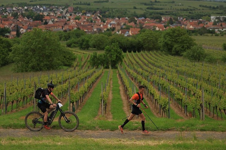 Ultra-trail des chevaliers by UTMB