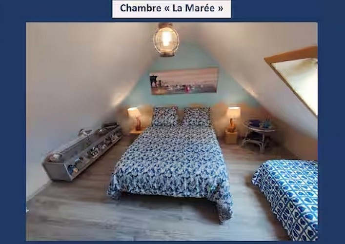 Bienvenue-au-pigeonnier-familial_M.-Lerat-_7_