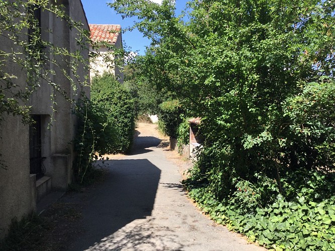 Domaine de Lacan