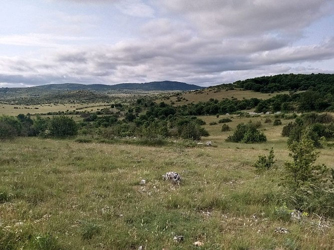 Domaine Départemental de la Vernède