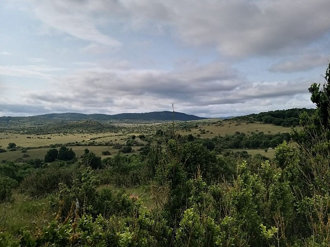Domaine Départemental de la Vernède