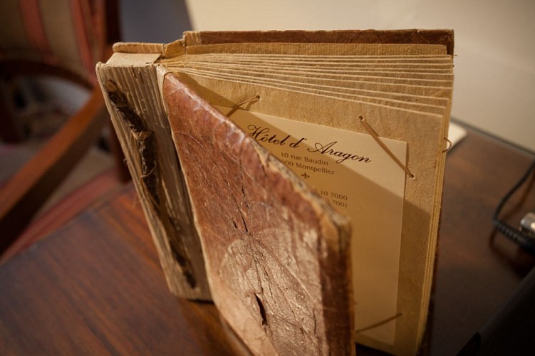 Hotel Aragon-Montpellier_17