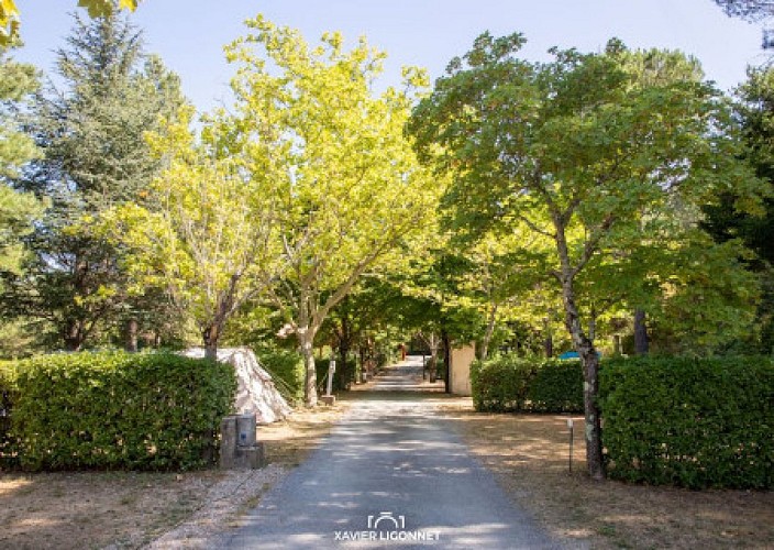 terrasses-du-jaur- presentation- Vignette ebrochure