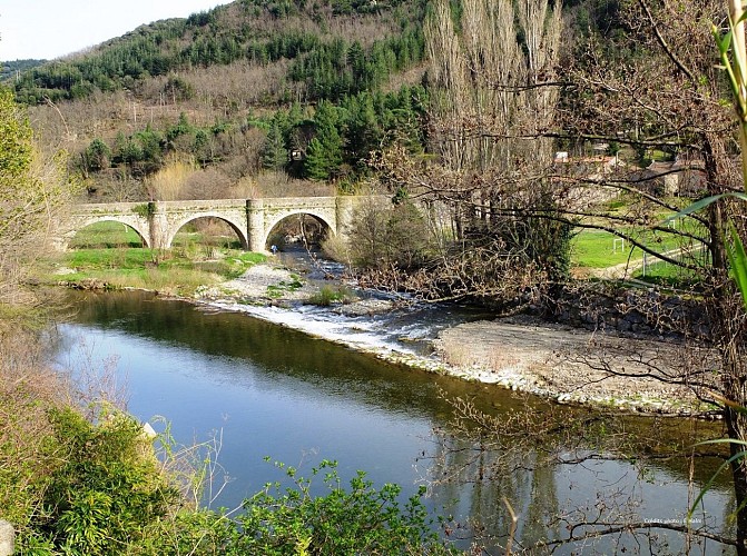 Camping les Terrasses du Jaur - Présentation