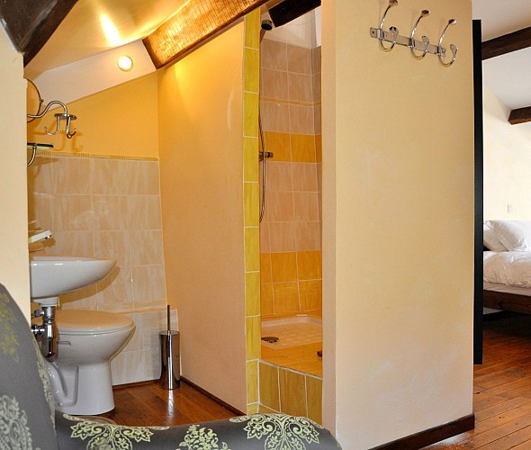 Salle de douche attenant à la chambre